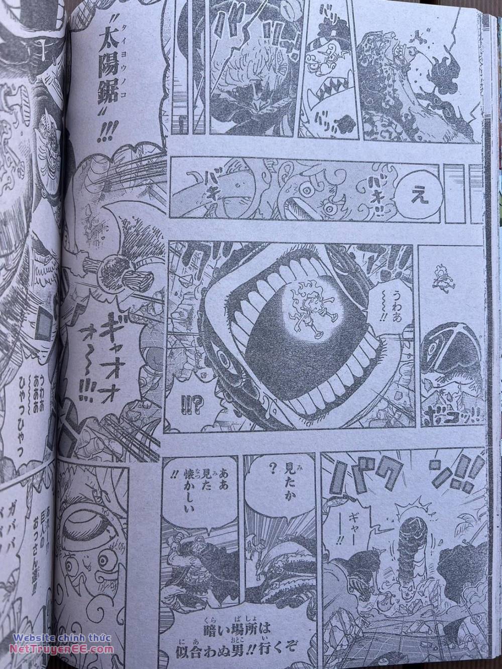 đảo hải tặc - one piece chapter 1110 14