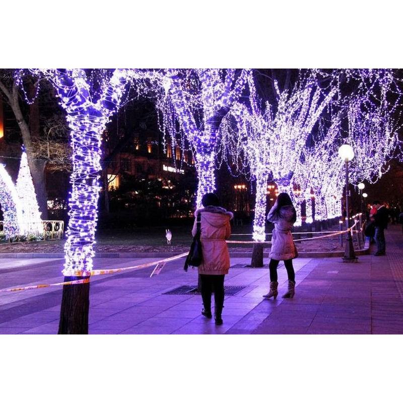 Combo 5 dây led không chớp   - trang trí noel_tết - Ánh sáng cực lung linh