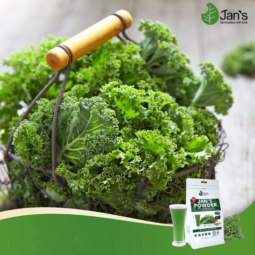 Bột cải kale Jan’s bao bì mới 20 gói tiện dụng