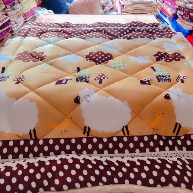 Chăn Mền Mùa Đông Đại Hàn Ấm Áp Mềm Mịn