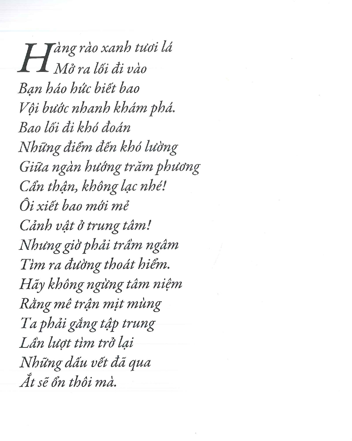 Gieo Mầm Yêu Thương - Biệt Đội Giải Cứu