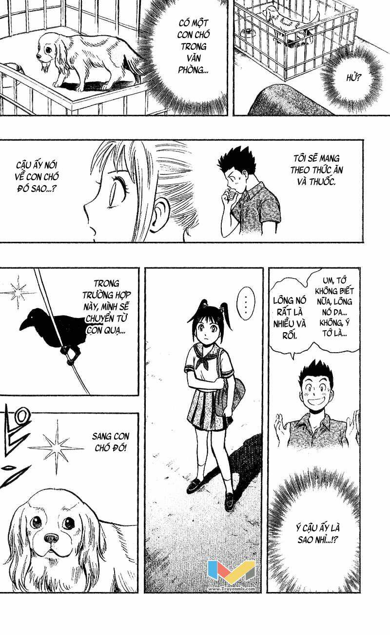 animal sense chapter 4 39