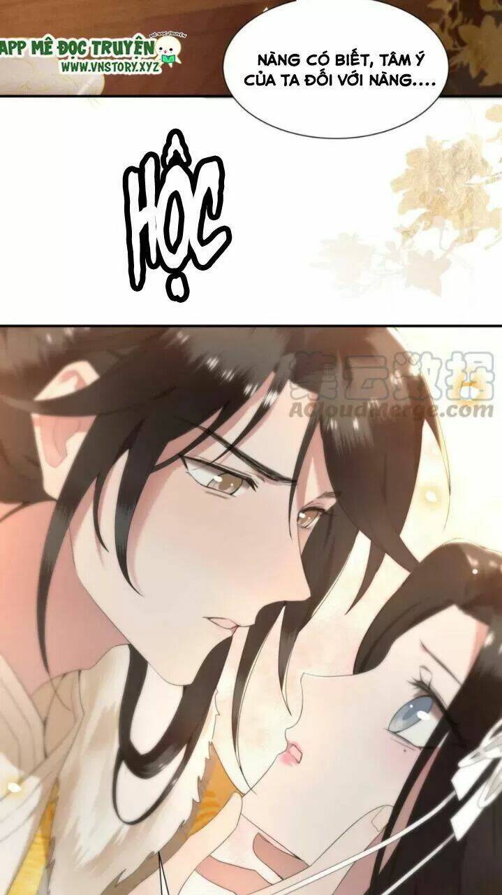 phượng hoàng vu phi chapter 69 41