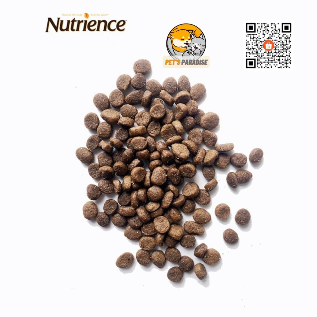 Nutrience - Thức ăn hạt hữu cơ dành cho mèo con bao 2,5kg