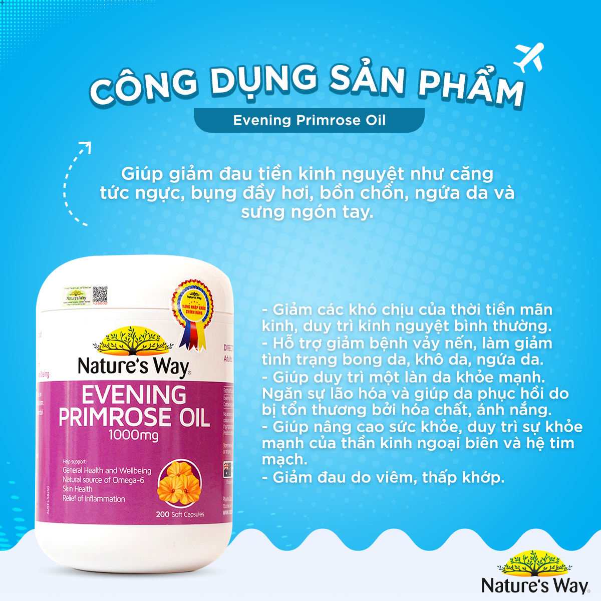 Viên uống tinh dầu hoa anh thảo Nature's Way Evening Primrose Oil 1000Mg