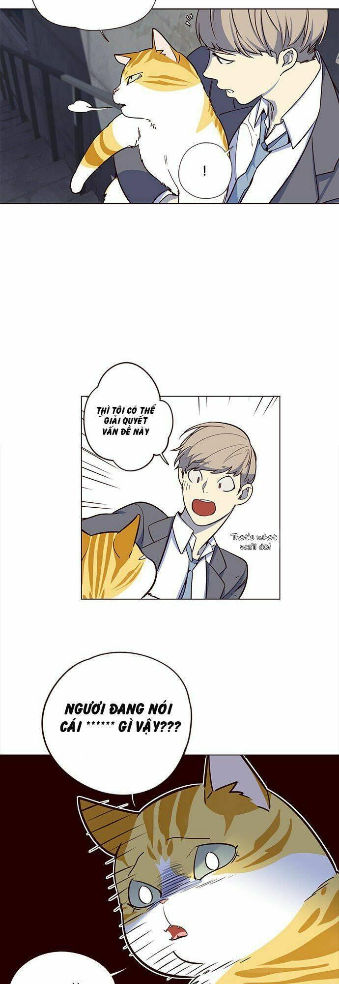 biến thân thành mèo chapter 3 22