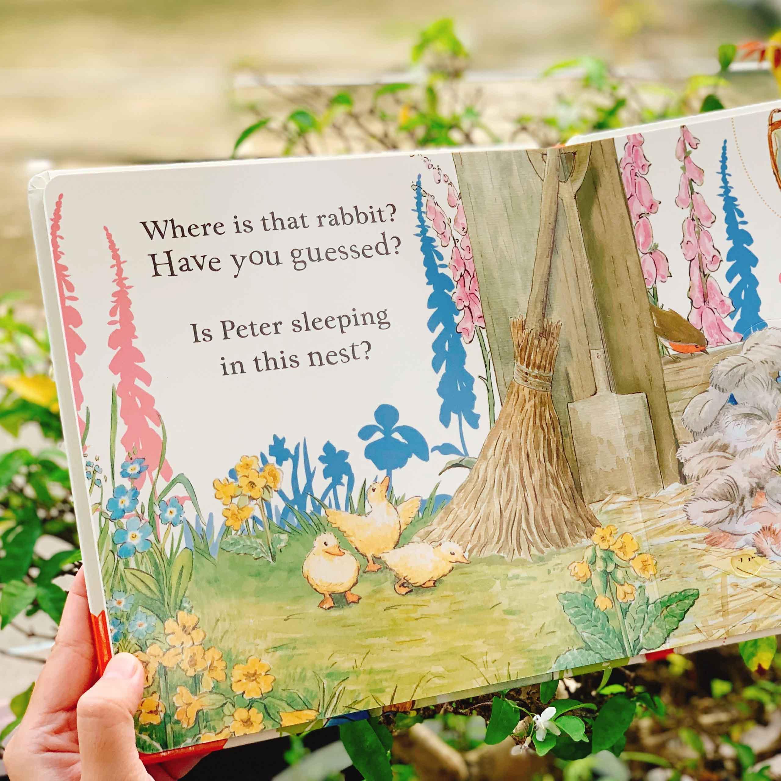 Where is Peter Rabbit? : Lift the Flap Book