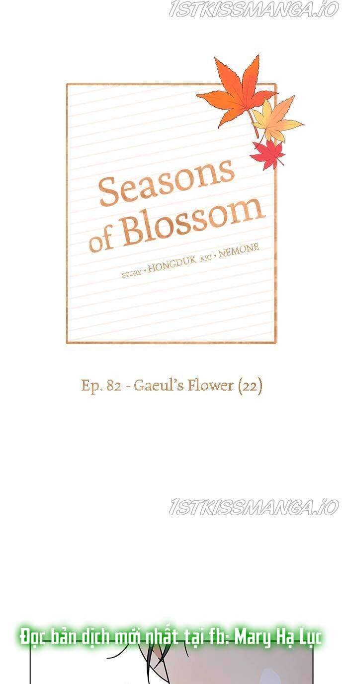 thanh xuân rực rỡ - season of blossom chapter 82 24