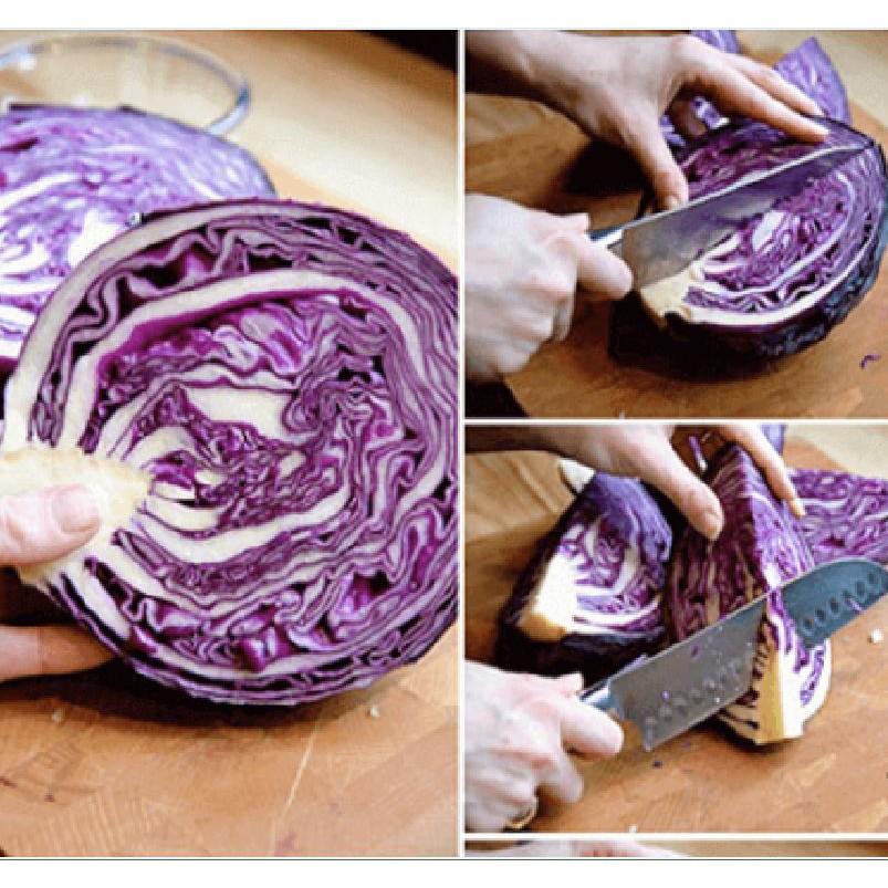 COMBO 5 gói hạt giống cải bắp tím F1