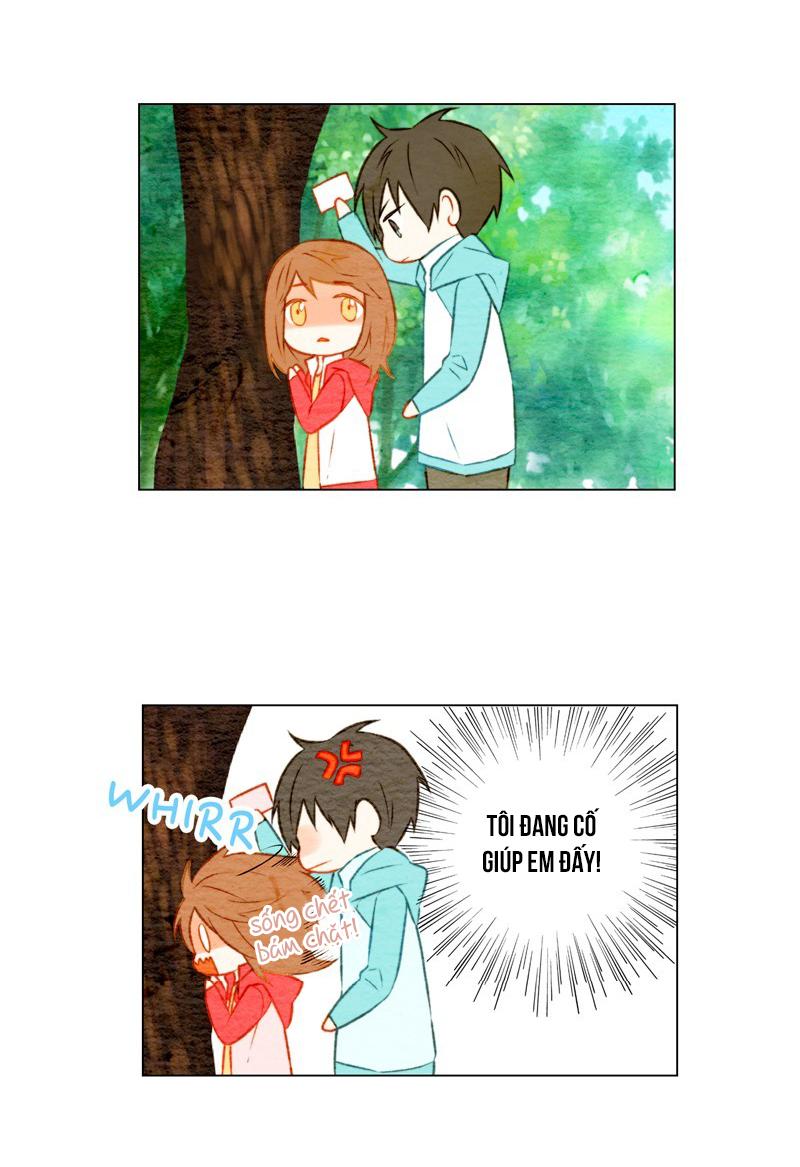 sao chép chapter 13 10