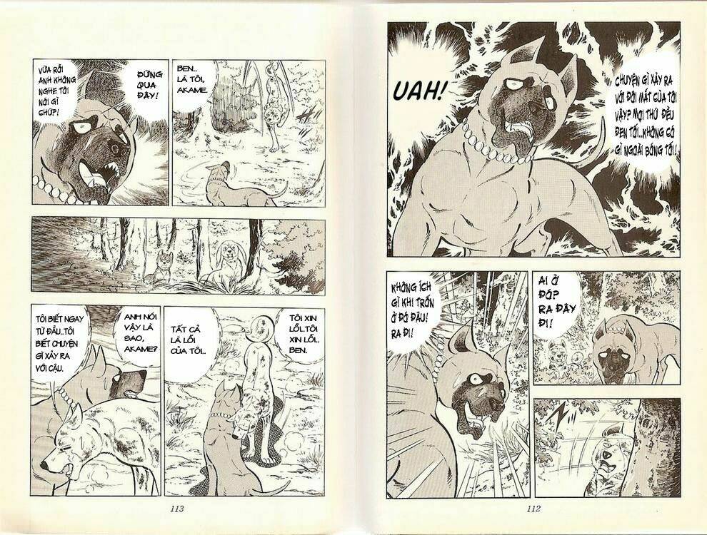 chú chó có nghĩa - ginga nagareboshi gin chapter 20 5
