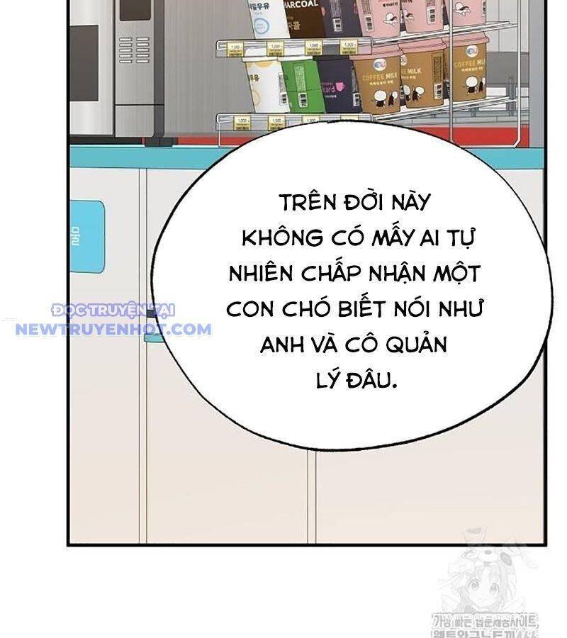 cửa hàng diệu kỳ chapter 47 78