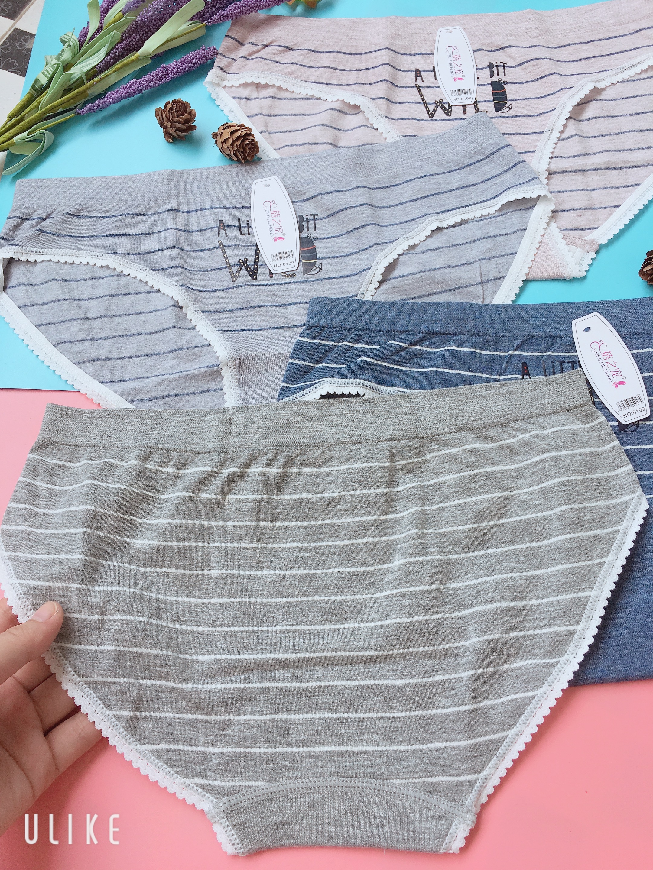 Combo 3 quần lót cotton siêu đẹp có túi zip mỗi quần fom từ 48-60kg mặc vừa