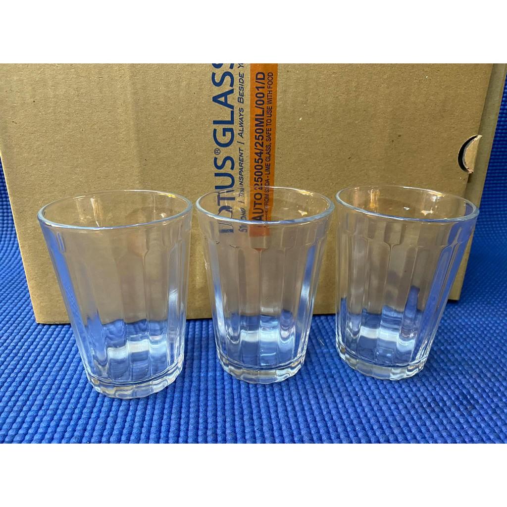Set 12 cái ly số 54 sọc nhỏ