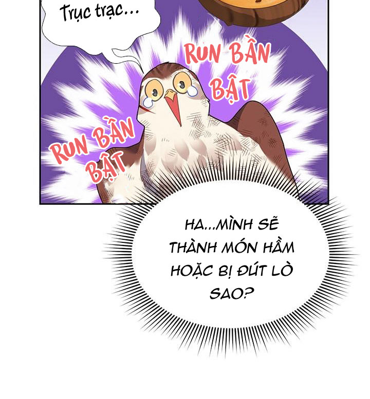 công chúa của loài chim chapter 12 59