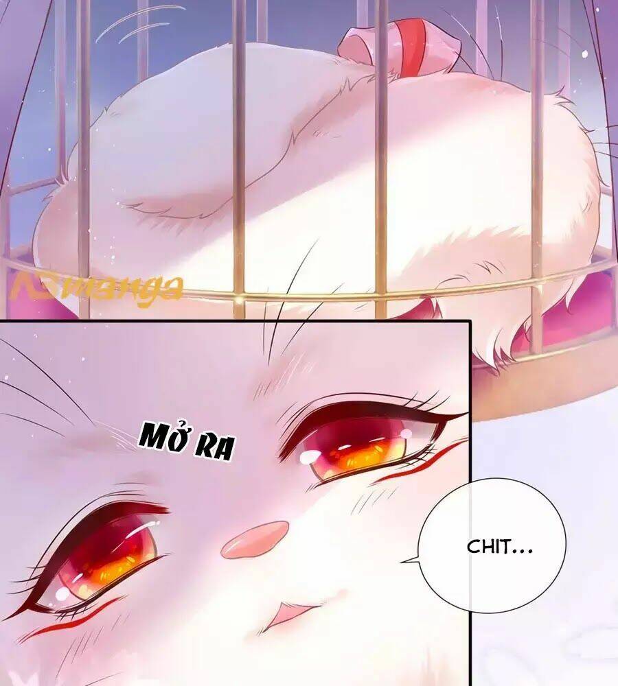 dưỡng thú vi phi chapter 1 29