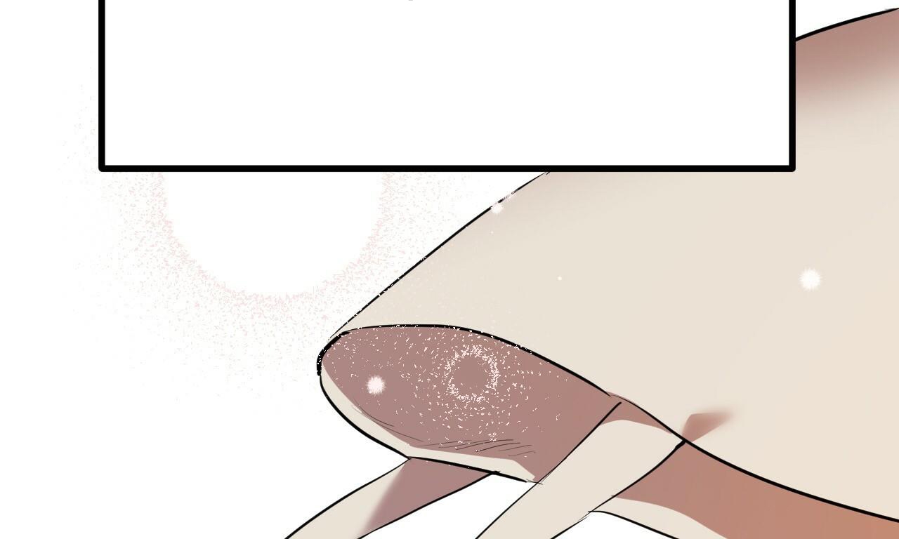 đàn thỏ của habibi chapter 39 3