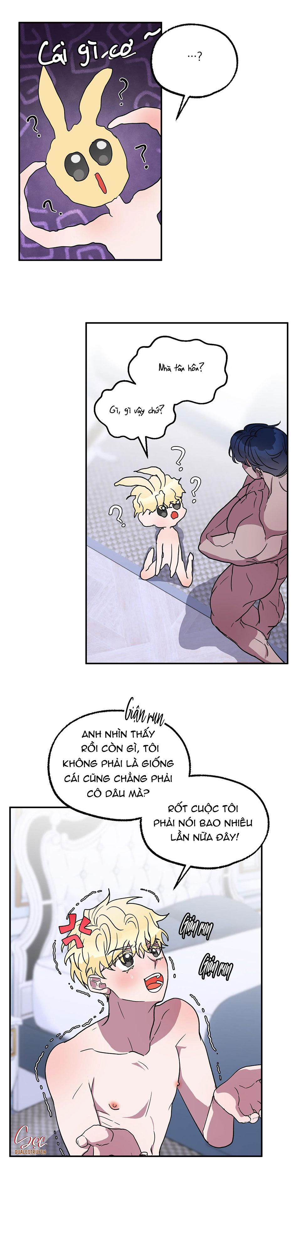 cá mập và cô dâu thỏ chapter 4 12