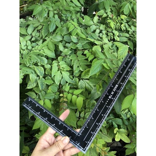 Thước góc EKE góc vuông kim loại 20️X30cm