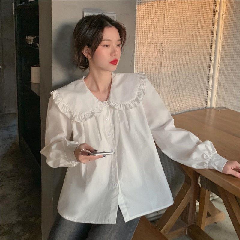 Áo sơ mi cổ bèo, Áo sơ mi dài tay đi học đi làm