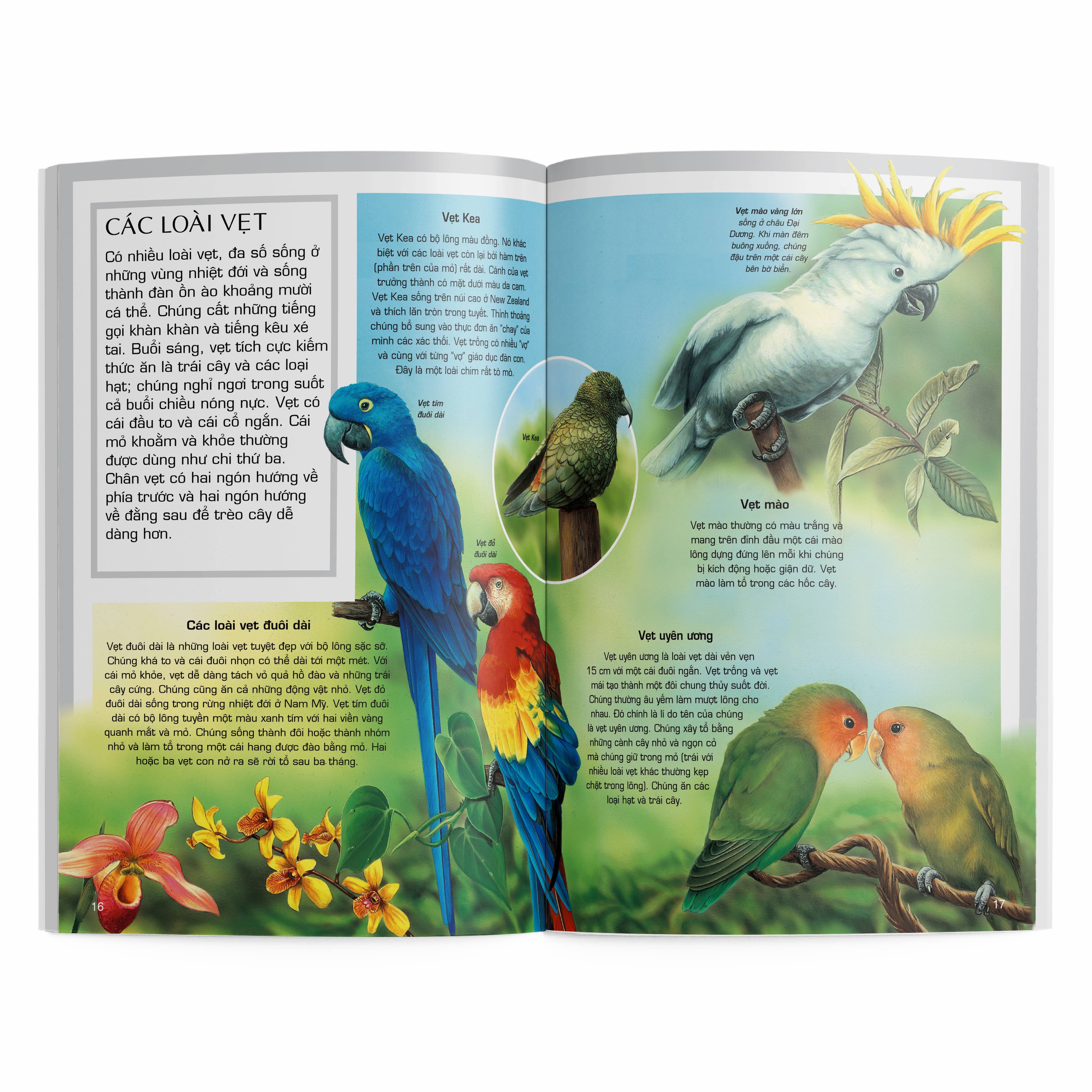 Tủ Sách Thế Giới Động Vật - Các Loài Chim