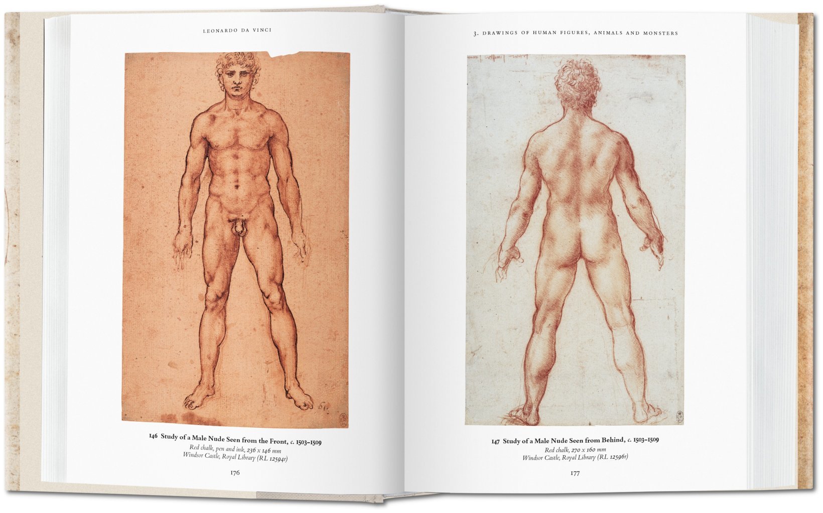 Artbook - Sách Tiếng Anh - Leonardo Da Vinci: The Complete Drawings