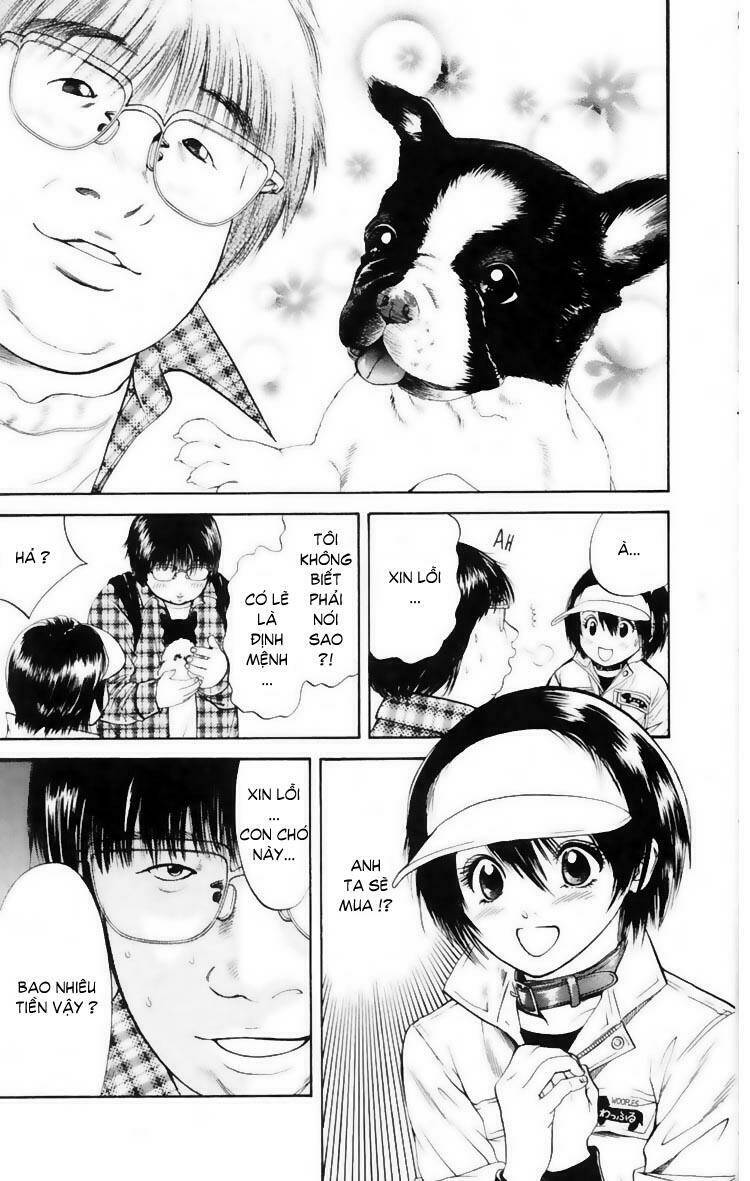 cô nàng yêu chó chapter 9 19