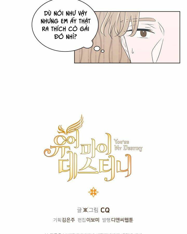 anh là định mệnh của em chapter 6 60