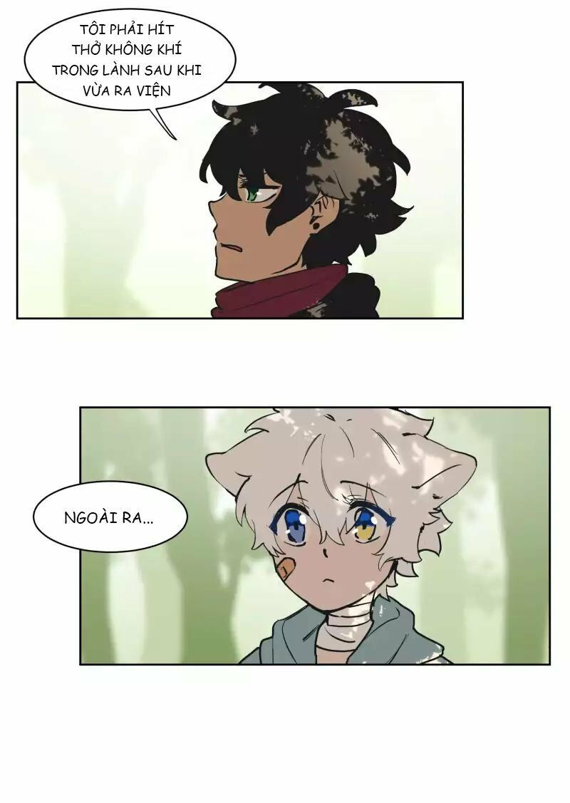 lumine - cội nguồn ánh sáng chapter 40 11
