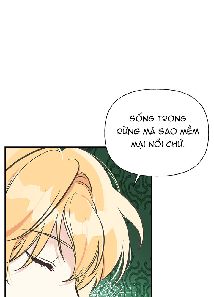 chị tôi đã nhặt về một nam chính quyến rũ chapter 50 60