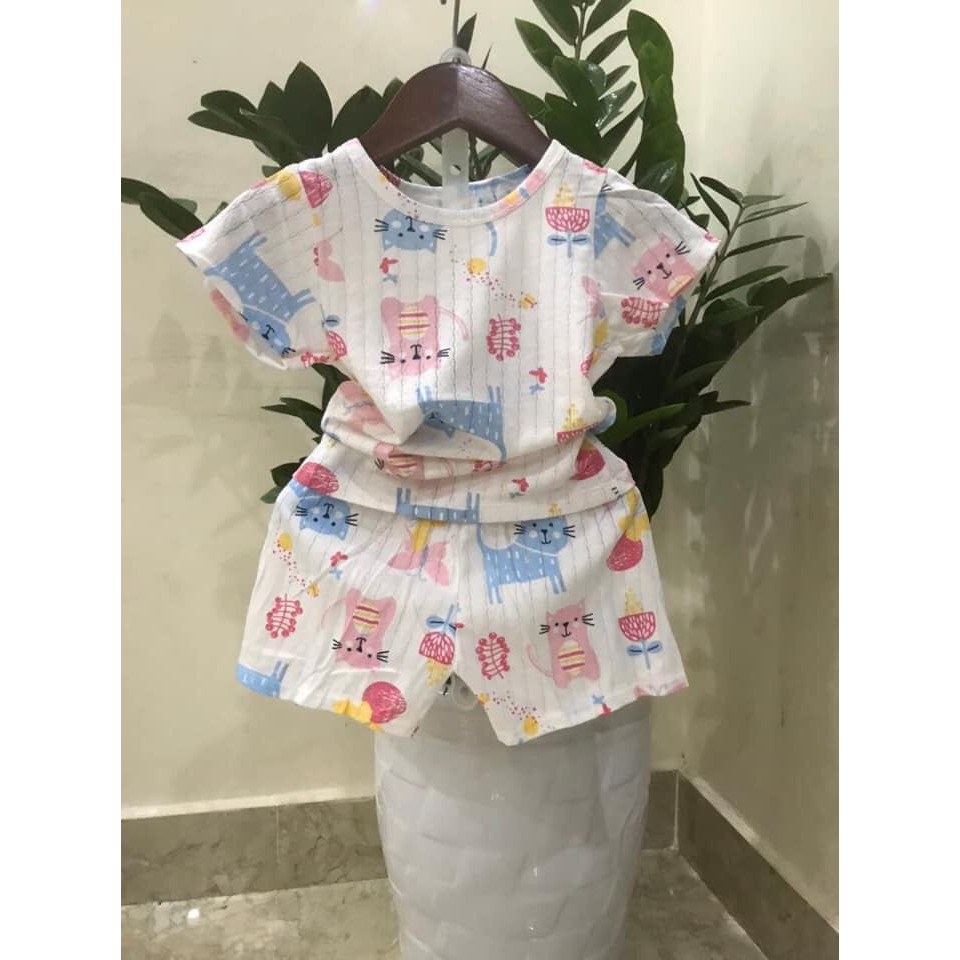 Set 5 bộ sơ sinh cotton giấy cao cấp