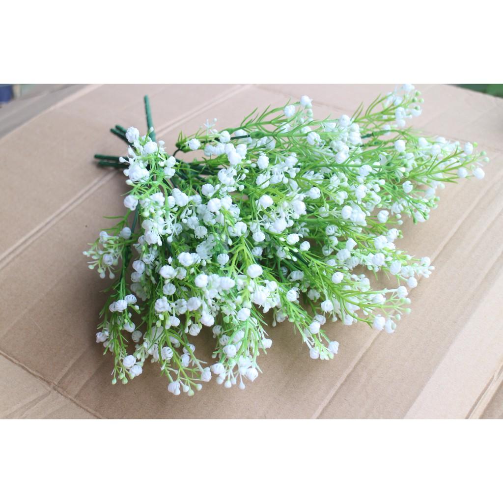 Cụm điểm hoa baby trang trí