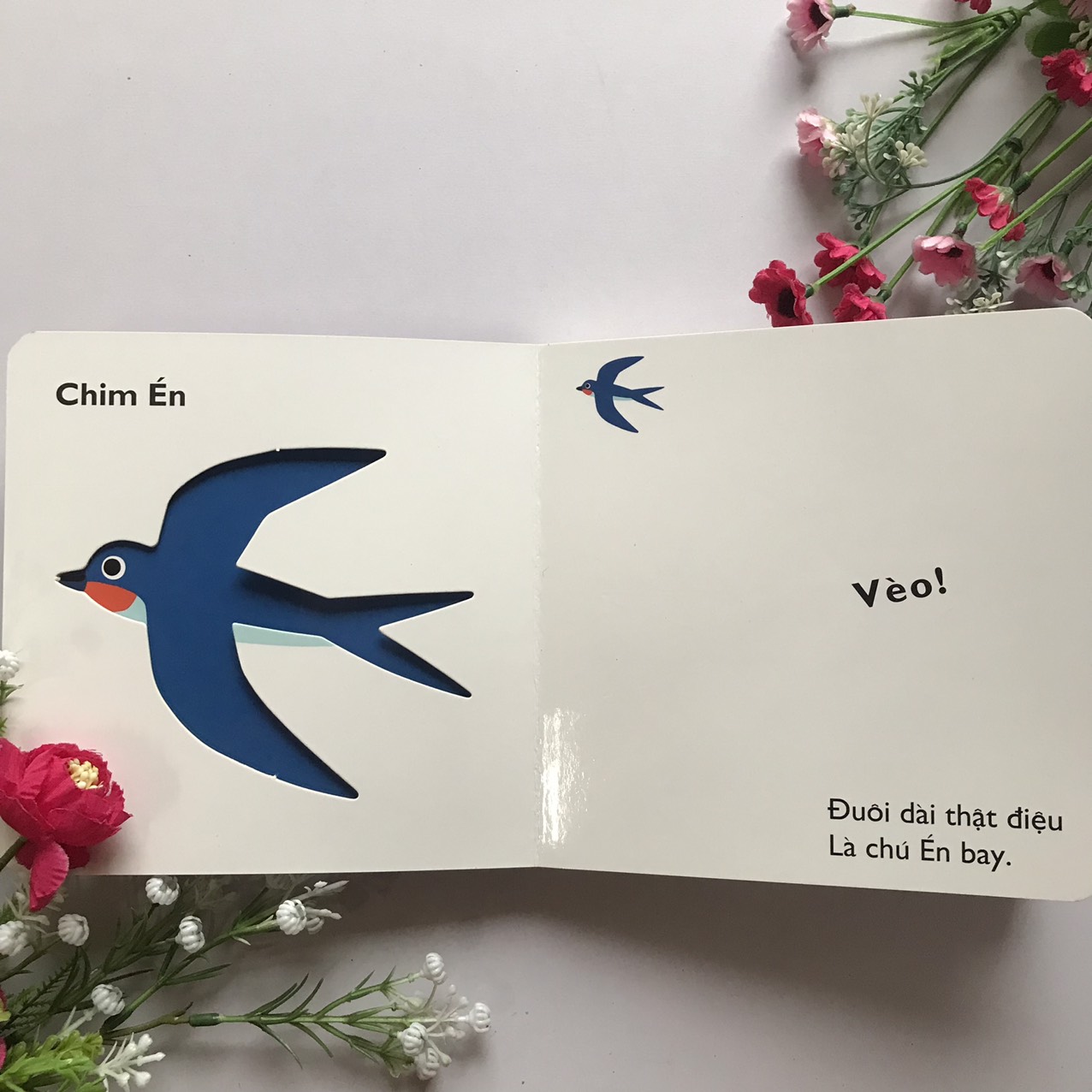 Cùng Chơi Trốn Tìm - Tập 9 : CÁC LOÀI CHIM