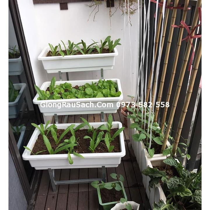 3 Kệ trồng rau sạch bậc thang cho chậu đại hoặc thùng xốp