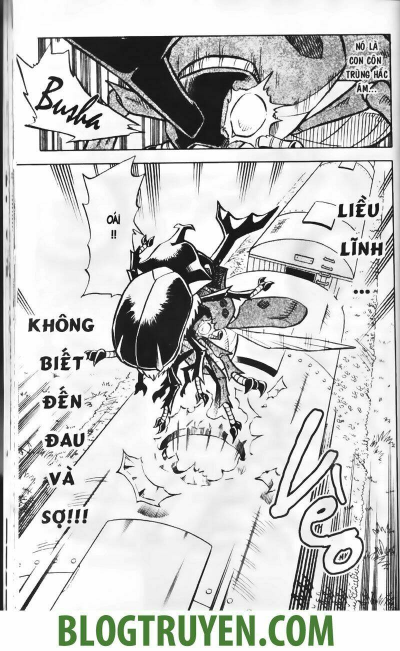 vua côn trùng chapter 11 13