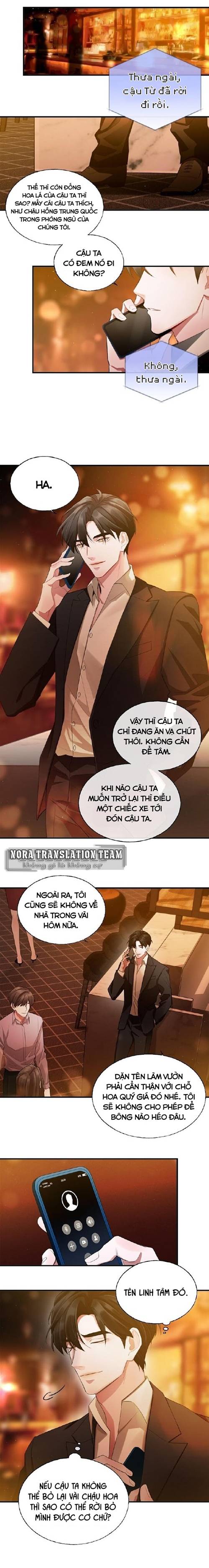 sau khi rời bỏ anh chapter 1 11