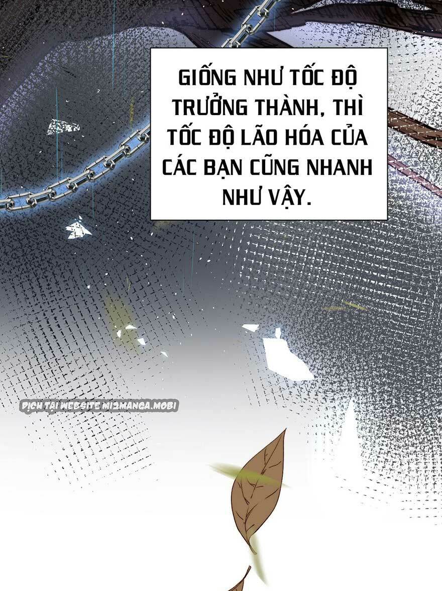 triều tây, in or out chapter 14 19