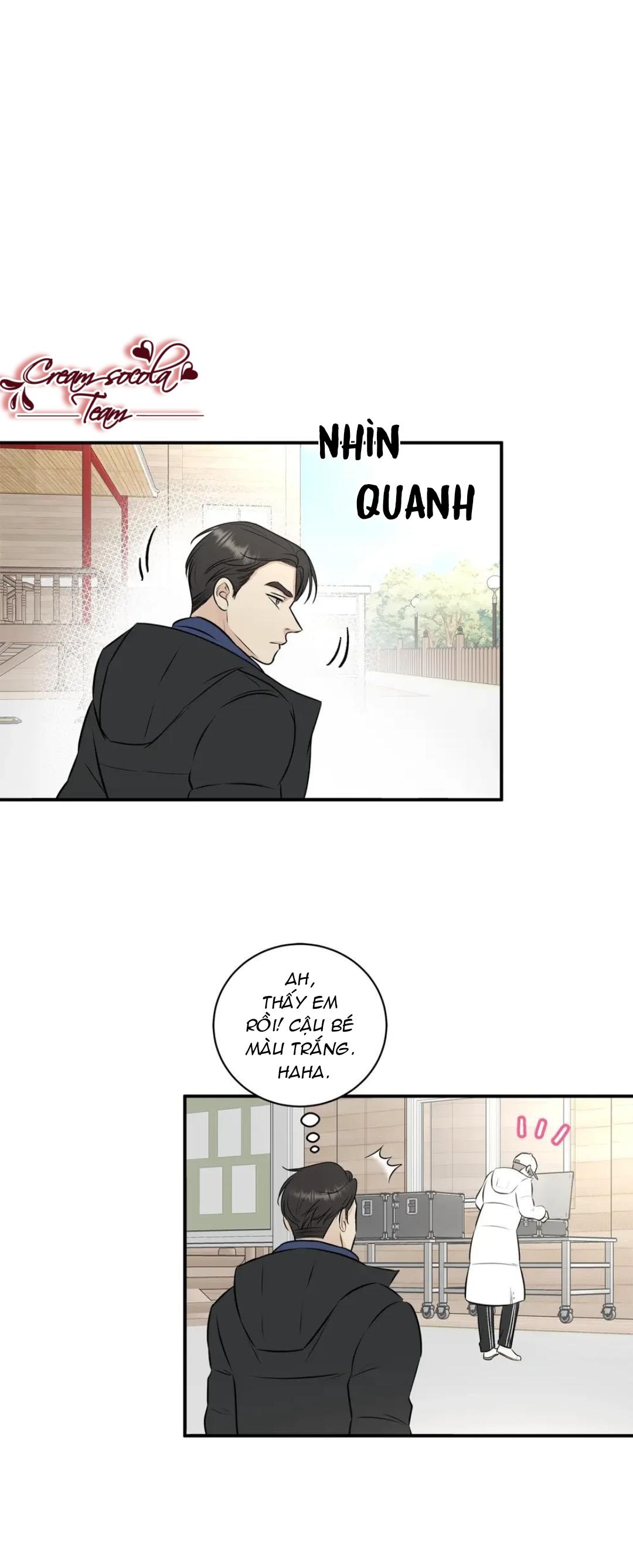 hạnh phúc trọn vẹn chapter 14 17