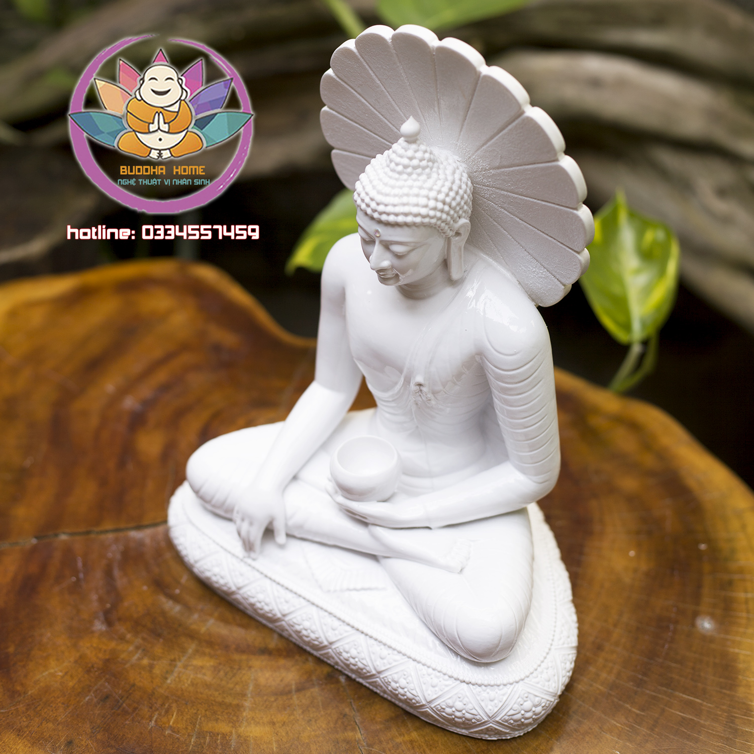 Tượng Phật Ngọc Bổn Sư 24 cm