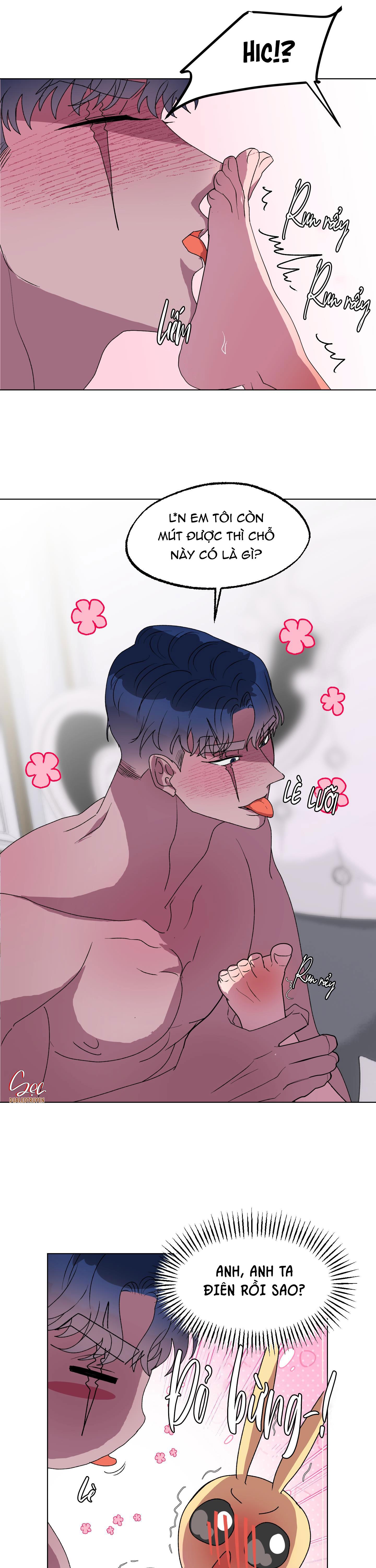 cá mập và cô dâu thỏ chapter 13 22