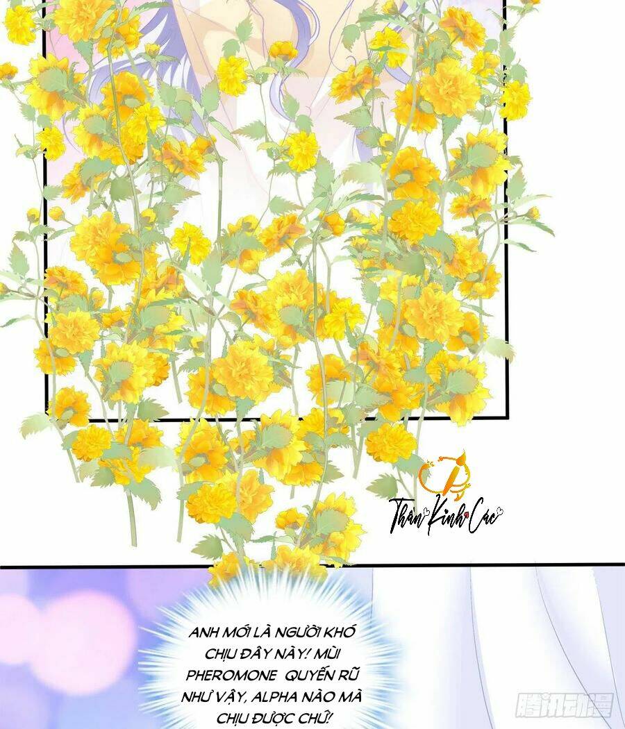 toàn bộ nắm trong tay chapter 71 19