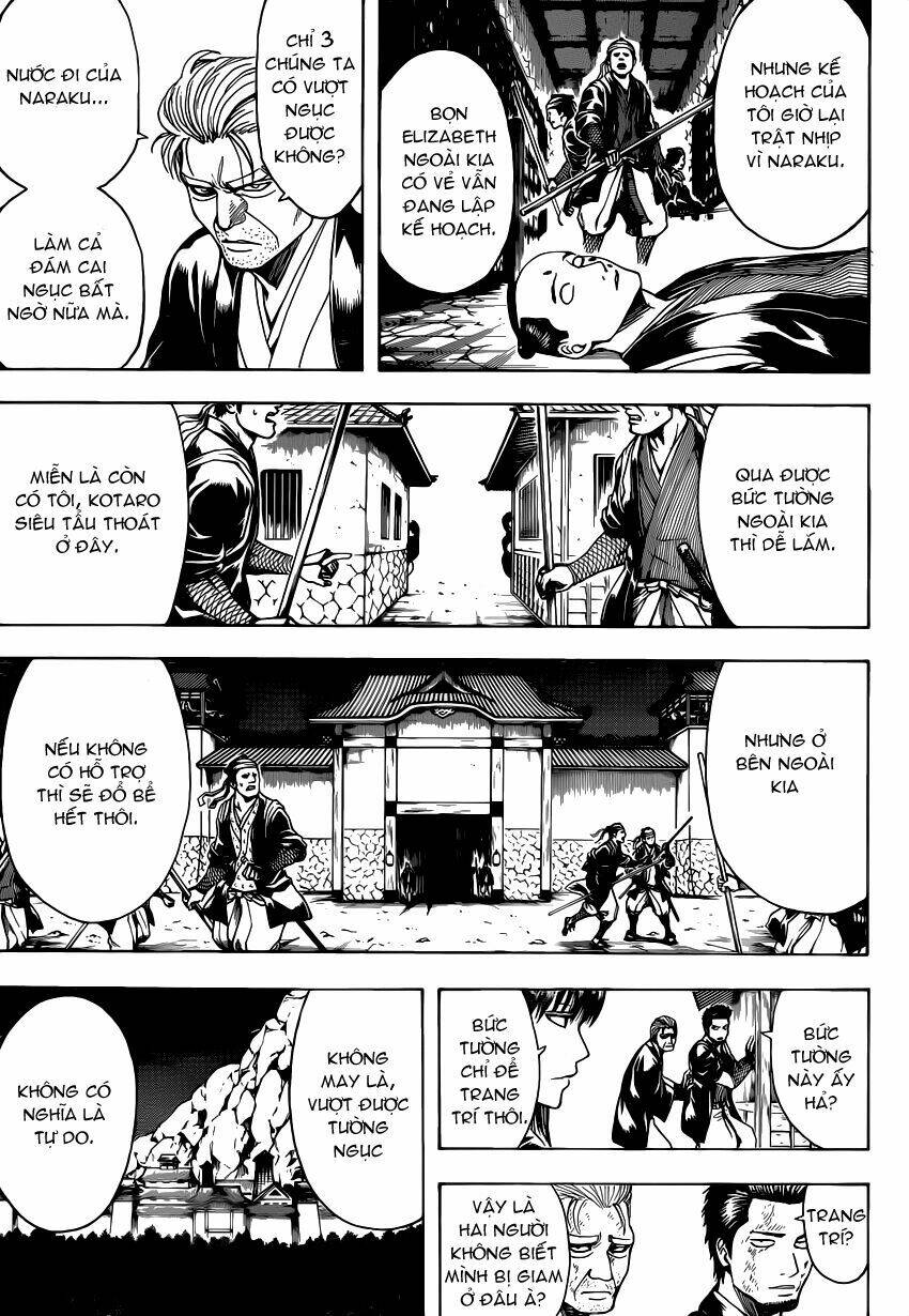 gintama - linh hồn bạc chapter 531 6