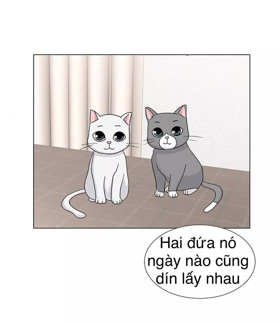 idol và sếp, em yêu ai? chapter 117 18