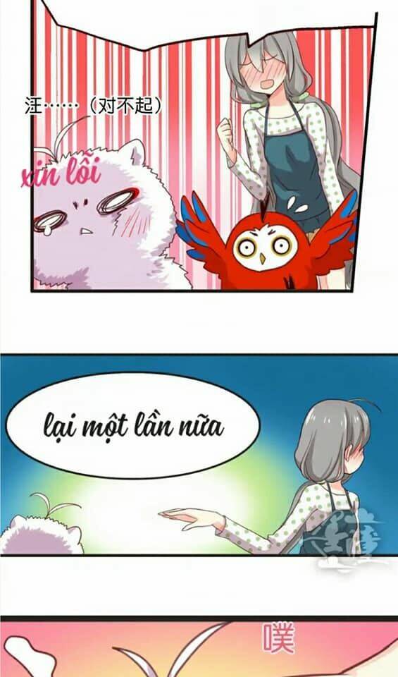 tân quang thiên chapter 12 16