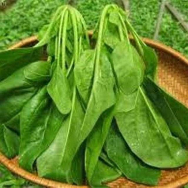 Hạt giống rau cải bó xôi chịu nhiệt F1