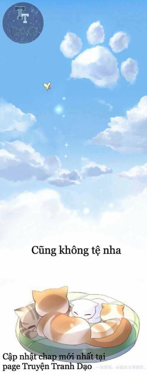 dưới móng vuốt mèo chapter 1 39