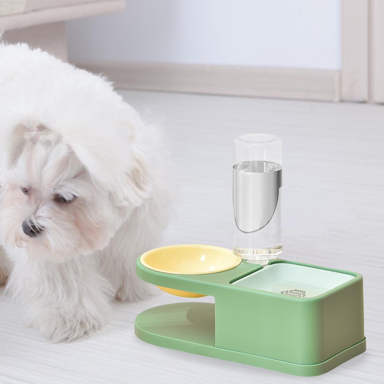 Large Automatic Pet Bowl Dog Cat Water Fountain Dry Food Dispenser