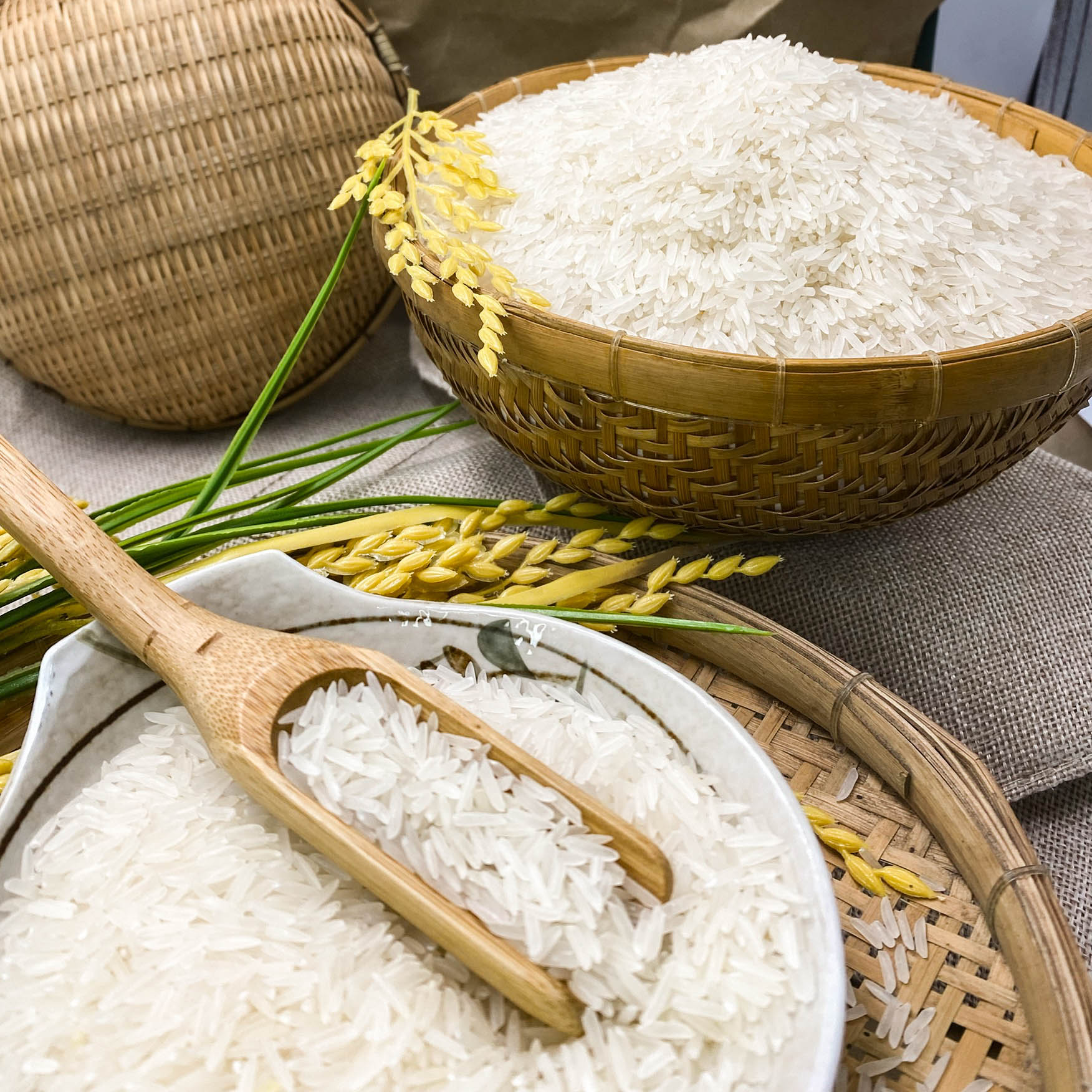 Gạo Tam Bảo - Túi 5kg - Dẻo vừa, mềm cơm, thơm lá dứa