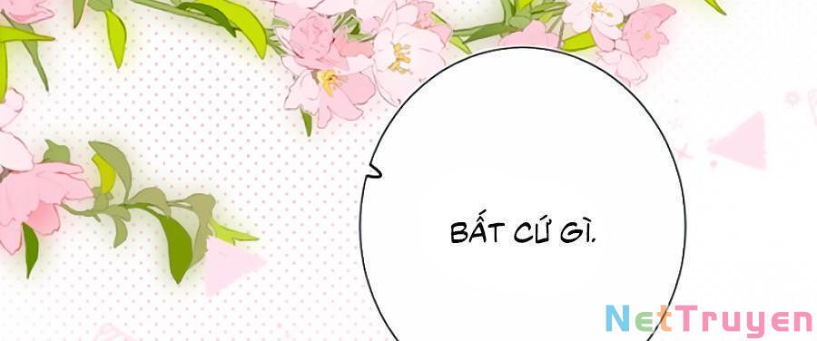 đừng khóc chapter 86 22