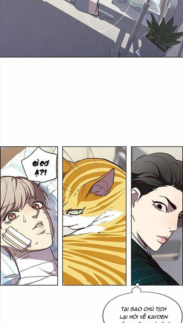 biến thân thành mèo chapter 28 39